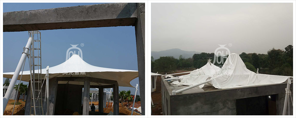 1612164348771471.jpg B.jpg